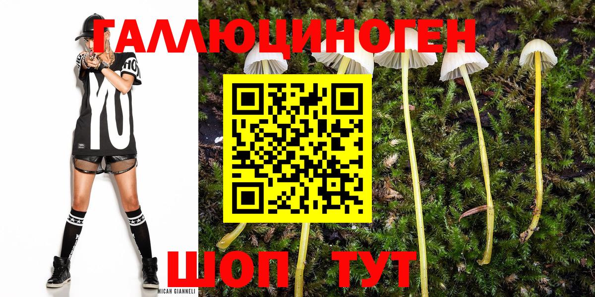 Галлюциногенные грибы Cubensis Балахна