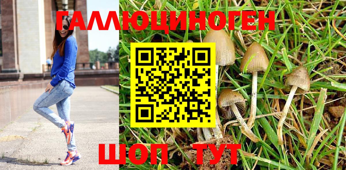 Псилоцибиновые грибы GOLDEN TEACHER  Вход с VPN  цены   Псилоцибиновые грибы Psilocybine cubensis  Балахна 